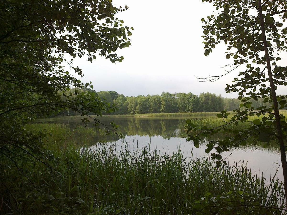 Ferienhaus Knappensee Lohsa Екстер'єр фото